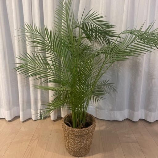 IKEA★フェイク観葉植物　鉢付き♪