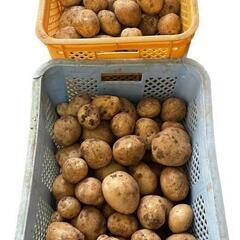 締め切ります。長崎県産　新じゃが　じゃがいも　ジャガイモ　6キロ...
