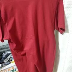 ドルガバ☆Tシャツの画像