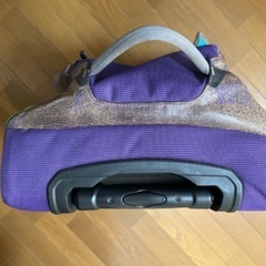 patagonia ブラックホール・ウィールド・ダッフル40Lの画像