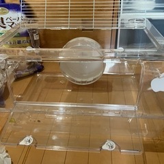 ゴールデンハムスター飼育セット（中古）