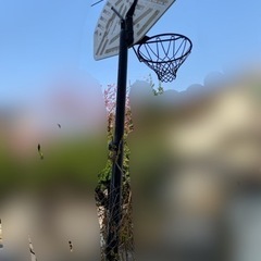 バスケットゴール 