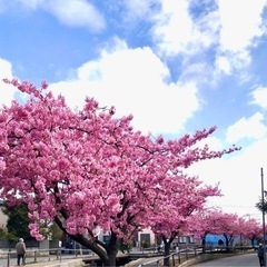 チョットそばに居てもらえると助かる  をお手伝いします