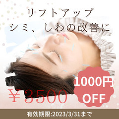 美容鍼はじめます