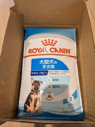 【未開封】ドッグフード  CANIN マキシパピー 15kg