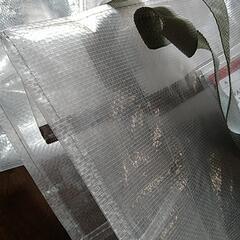美品★スリコのクリアボックスバッグの画像