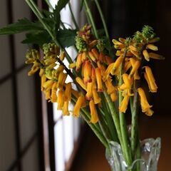 春のブーケの画像