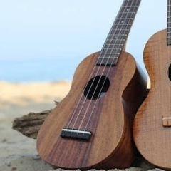 ☆ウクレレ教室開催☆レンタル楽器あり🎸手ぶらでOK!