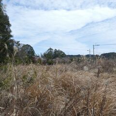 姶良郡湧水町川西【売地】 擁壁上約981坪県道沿い190万円 - 不動産