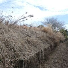姶良郡湧水町川西【売地】 擁壁上約981坪県道沿い190万円 - 土地販売/土地売買