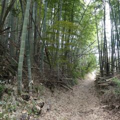 姶良郡湧水町川西【売地】 擁壁上約981坪県道沿い190万円 − 鹿児島県