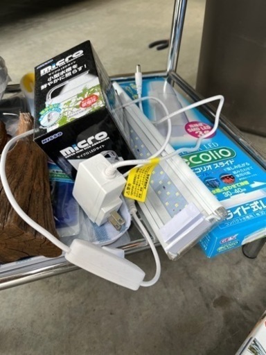 今からメダカシーズン水槽　値下げ