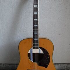 アコースティックギター　yamaki B-40 Buffalo ...