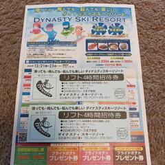 スキーリフト券 4時間 2枚 ダイナスティスキーリゾート