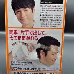 ビゲン  メンズ用白髪染めの画像