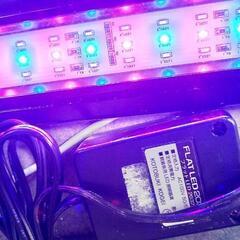 中古です。コトブキのLEDライトです。その2の画像