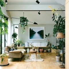 植物の株分をして頂けませんか？