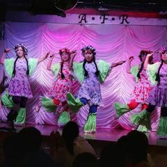 ベリーダンス　小田原　入門クラス メンバー募集！の画像