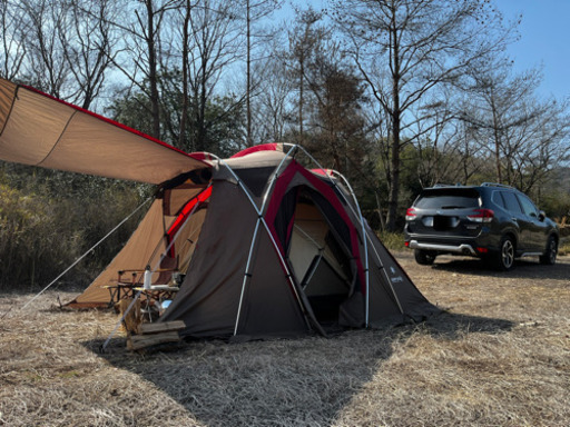  peak リビングシェルS