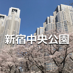 学生無料｜平日昼｜淀橋浄水場の跡地・新宿中央公園で花見散歩♪十二...