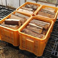 【未乾燥】　針葉樹　ヒノキ　薪　