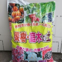 キンカンの鉢植え、ブッドレアの鉢植え、培養土少し　差し上げます。の画像