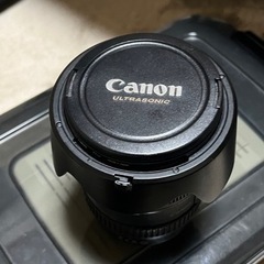 Canon EF24-105mm F4L IS USM