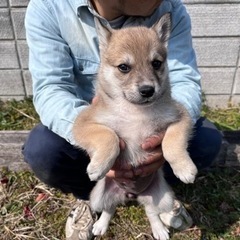 里親様決まりました○