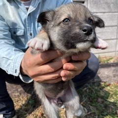 里親様決まりました！