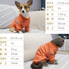 新品ペット服3点の画像