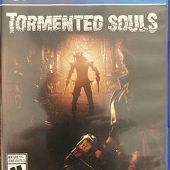 TORMENTED SOULS PS4（輸入版）