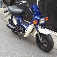シャリー　8万円