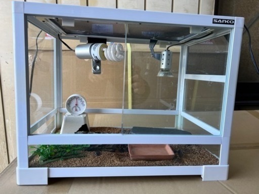 パンテオン4535   揃ってます　爬虫類