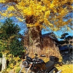 モンスター400ie 、車検令和6年4月、売りたいので最終値下げの画像