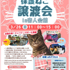 第２４回保護ねこ譲渡会in帝人会館