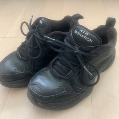 NIKEエアモナーク24cm🌸美品🌸希少。値下げ
