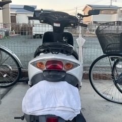 HONDA Dio
