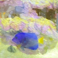 最終価格　お早目に　状態良好　餌喰い良好