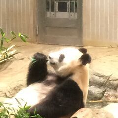 😚日払い短期はあと2週間弱のお仕事😚