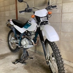 セロー225 林道カスタム車の画像