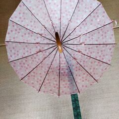 桜柄の傘　16本骨　未使用　決まりました！の画像