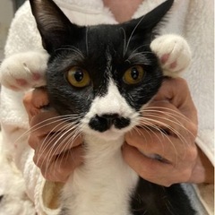 人馴れ抜群のかとちゃんとそのママじゅんこさん