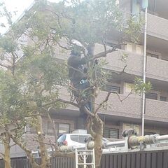 造園業　現場作業員の画像