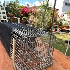 害獣及び野良猫捕獲器の画像