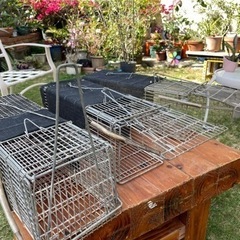 害獣及び野良猫捕獲器の画像