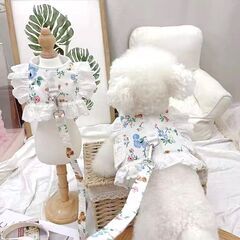 新品　ベアフラワーハーネス&リードセット　ホワイト　白　くまさん　お花柄　小型犬　チワワ　トイプー　パピー　お散歩ハーネスの画像