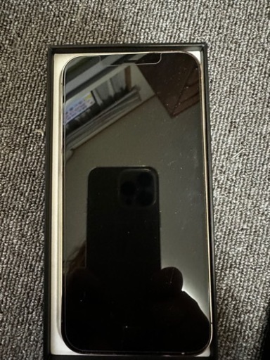 その他 iPhone12 Pro MAX