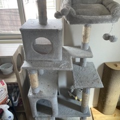 キャットタワーの画像