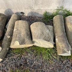 広葉樹差し上げます②