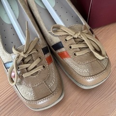 ベネビス BENEBIS 24.5 